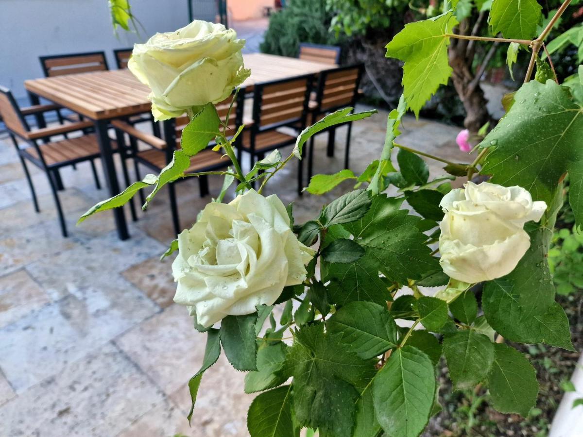 Premium apartment ALBA ROSA Split Exterior foto